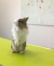 Cabinet Vétérinaire de Vésenaz Bild 1