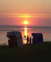 Ferienhof Bruns Bild 20