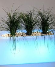 Chapelu Frères SAS image 1