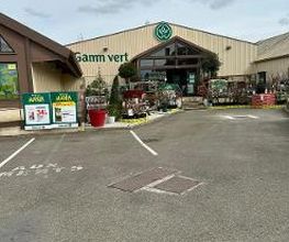 GAMM VERT image 1