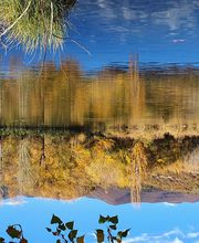 Mairie - Château-Arnoux-Saint-Auban image 6