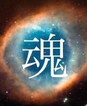 Laurent VIEL Magnétiseur image 4