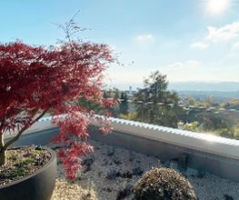 Glasmanufaktur Baden AG Bild 13