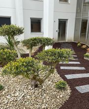 Chaubet Eau Vert Paysage SARL image 1