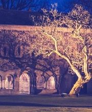 Abbaye de l'Escaladieu image 2