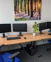 2 Arbeitsplätze mit jeweils 2 Bildschirmen, einem Bürostuhl, einer Tastatur und Maus. Darüber hängt ein Bild eines Waldes. Zwischen den Arbeitsplätzen steht eine Pflanze auf dem Tisch.