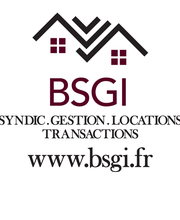 BSGI image 2
