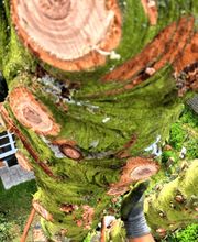 Woodfellows Baumfällung & Baumpflege
Adam-Kraft-Straße 3
90419 Nürnberg
Telefon: 01573 8265753
E-Mail: baumpflege@woodfellows.de