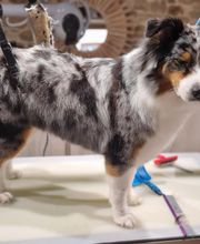 Flair'Allure image 4