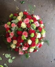 Le Jardin de Benoit image 5