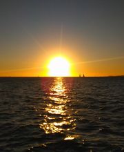 Denaes Richard image 2