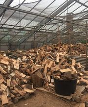 Pasinelli cura alberi Sagl Bild 9