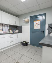 Clinique Vétérinaire Mon Véto Bourg-achard image 12