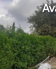 Leroux Multiservice image 20