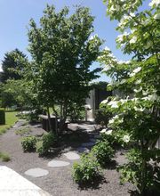 Hübscher Garten AG Bild 6