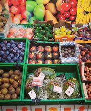 Gallery Professionale