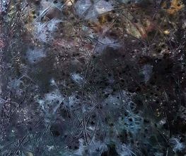 Night Blind 30x40cm