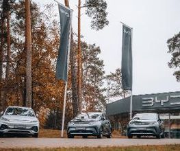 BYD - STERNAUTO Bild 2