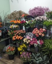 Budberger Blümchen Bild 9