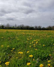 Renêtre image 1