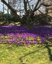 Armando Pinto Sàrl Bild 4