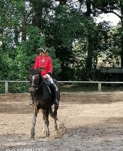 Reiterhof Daugzin C. Edel & E. Berkhahn GbR Bild 6