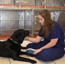 Family Pet Care