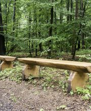 FriedWald Neuwied-Monrepos Bild 11