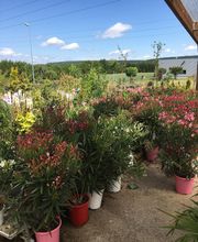 DELBARD TONNERRE image 7