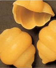 Pastificio Simona SA Bild 4