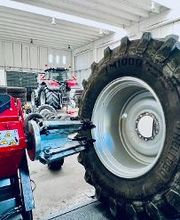 Euromaster Lentisco Gomme immagine 3