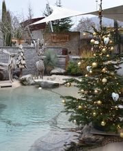 Villiger AG Garten + Pool Bild 1