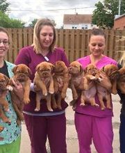 West Park Animal Hospital image 7