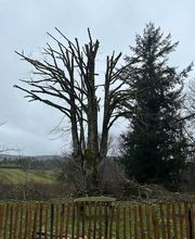 O P'TIT JARDINIER image 3