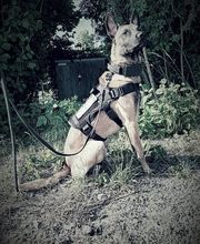 DVP Sicherheit e.K. Bild 7