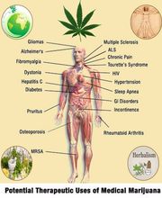 Medical Alternatives Clinics - Medical Marijuana Doctor image 4