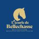 Ecurie de Bellechasse - Pension pour chevaux