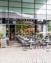 Cotidiano Lago Bild 2