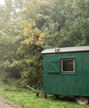 FriedWald Friolzheim Bild 6