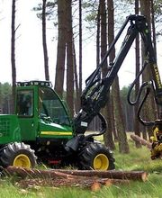 ALLIANCE Forêts Bois image 2