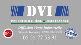 DVI