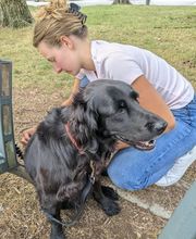 Luana EMINIC HUGO - L'ostéo animaux Bild 4