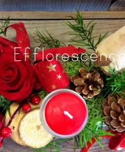 Efflorescence image 14