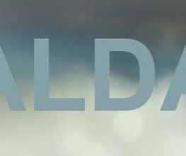 LOGO_RYCALDA.jpg