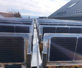 Vertikal Gründach PV1