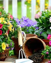 Aveyron Vallon Service image 2