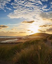 Mairie - Cabourg image 10