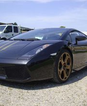 MPD-Racing, M.Piacquadio