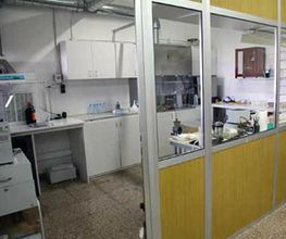 laboratorio-almendras-05.jpg