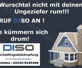DISO Schädlingsbekämpfung Bild 6